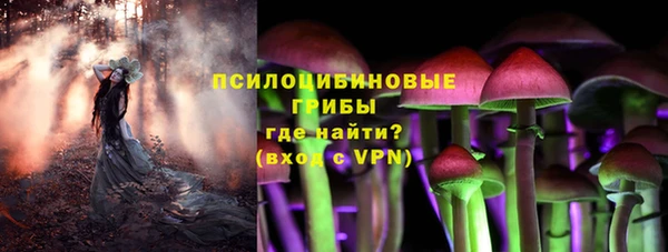 стаф Касимов