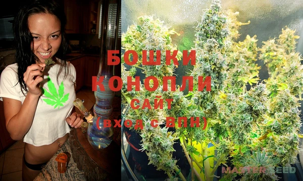 гидра Каменка