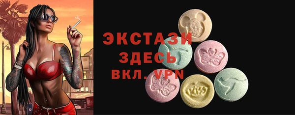 гидра Каменка