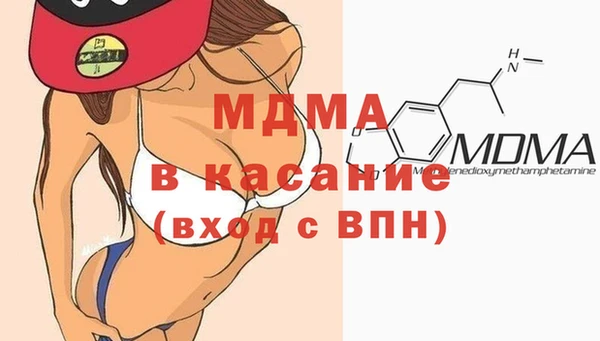 гидра Каменка