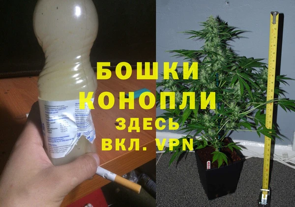гидра Каменка