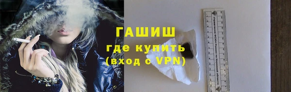 гидра Каменка