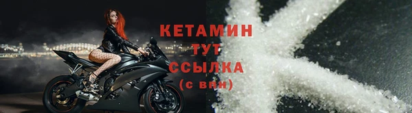 гидра Каменка