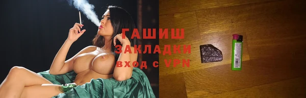 гидра Каменка