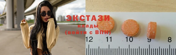 гидра Каменка