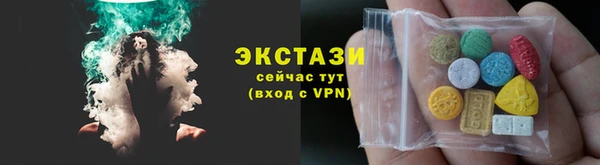 гидра Каменка