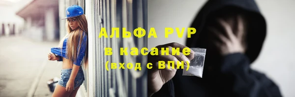 гидра Каменка