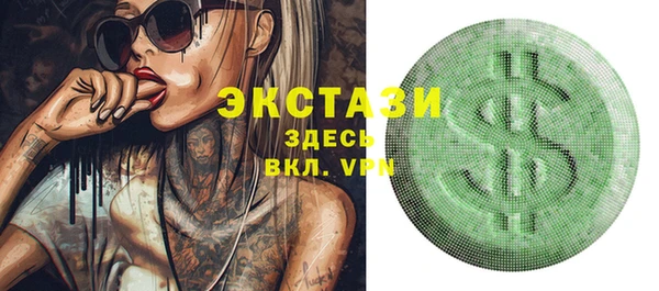 гидра Каменка