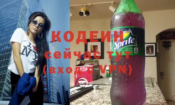гидра Каменка