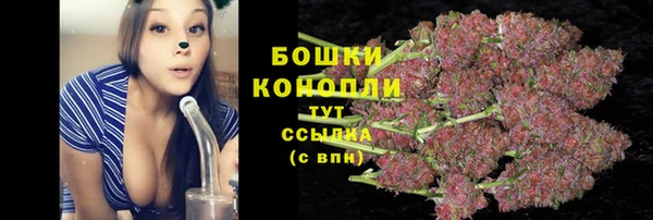 гидра Каменка