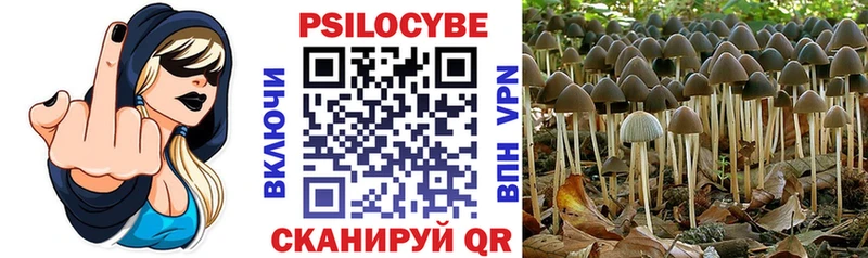 Псилоцибиновые грибы Magic Shrooms  Купить где  Мариинский Посад 